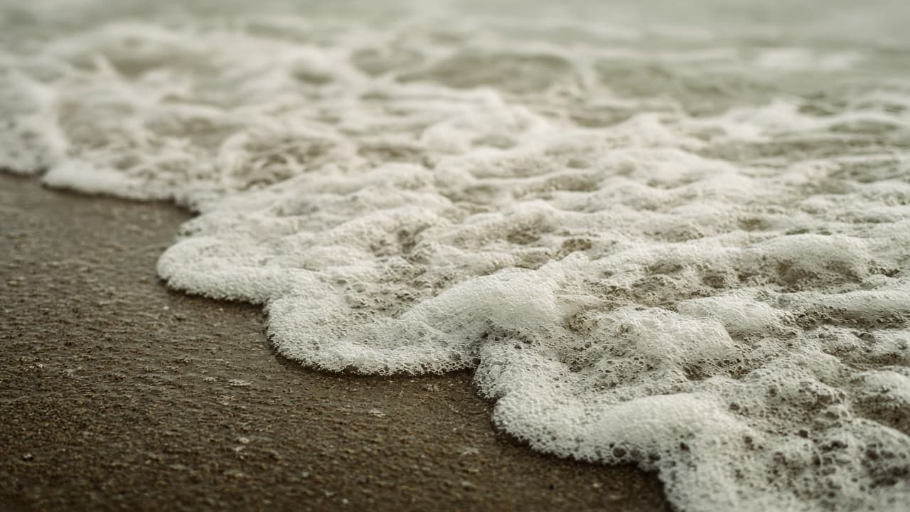 Espuma del Atlántico sobre la arena.